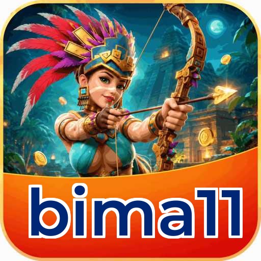 Troubleshooting bima11